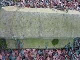 image number Coppen John  155